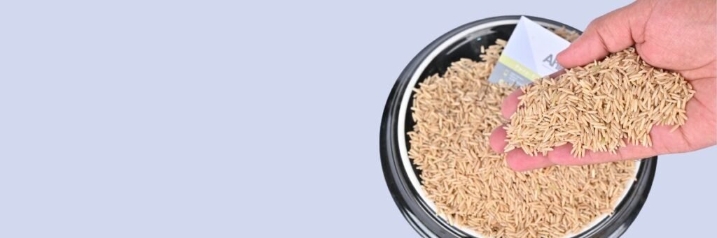 1121 Brown Basmati Rice Exporter Pakistan to Saudi Arabia