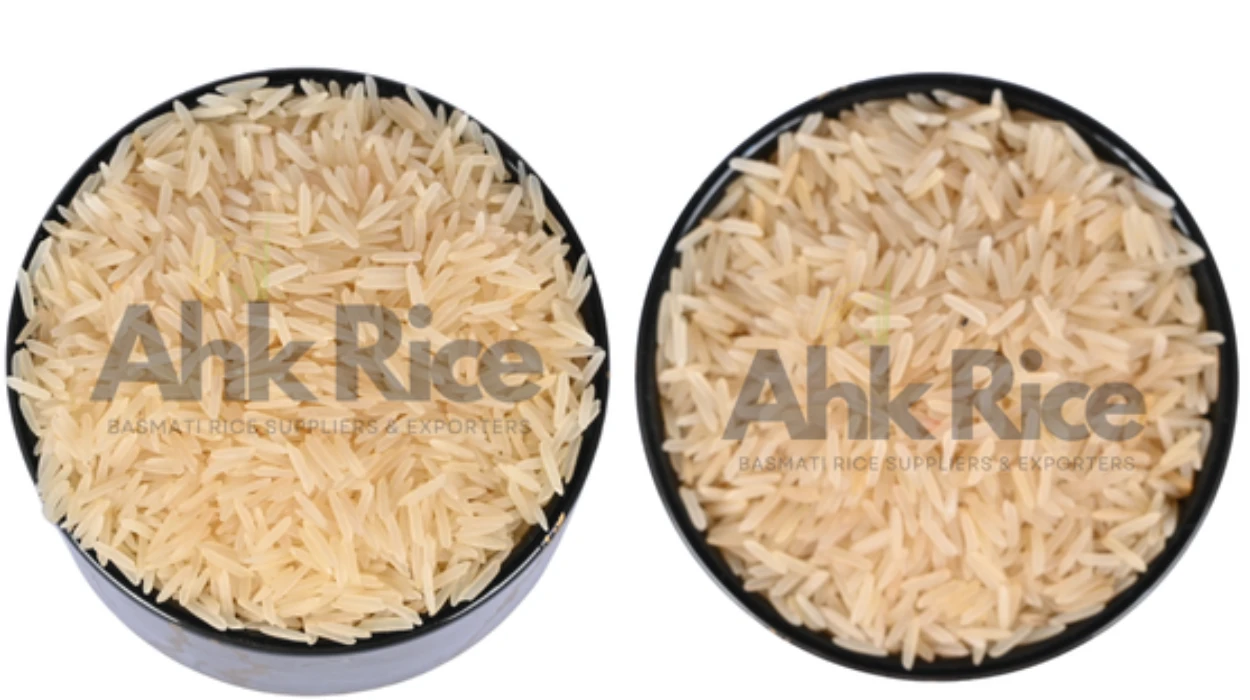 1121 Creamy Sella vs 1121 Golden Sella