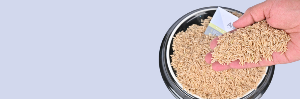 1121 Basmati Golden Sella Rice Exporter Pakistan to Turkey