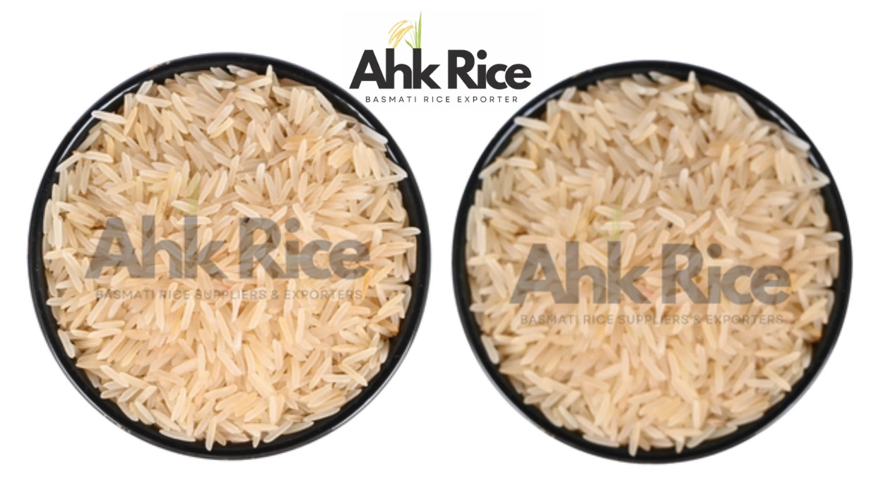 1121 Sella vs Non-Sella Basmati