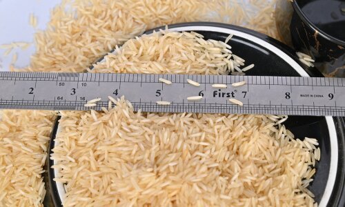 1121 Steam Basmati Rice Exporter Pakistan to Saudi Arabia