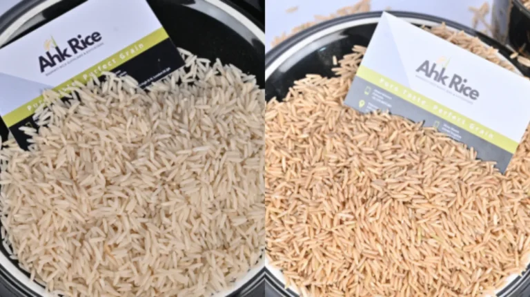 1121 White vs 1121 Golden Sella