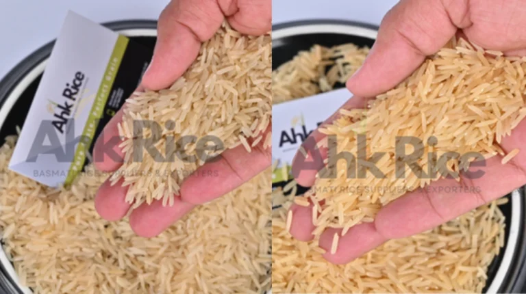 1121 vs 1509 Basmati Rice Which Grade Should Bulk Importers Choose