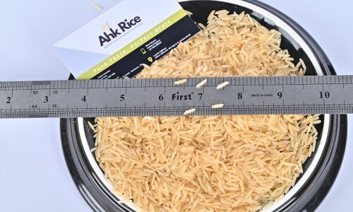 1509 Basmati Golden Sella Rice Exporter Pakistan to Saudi Arabia