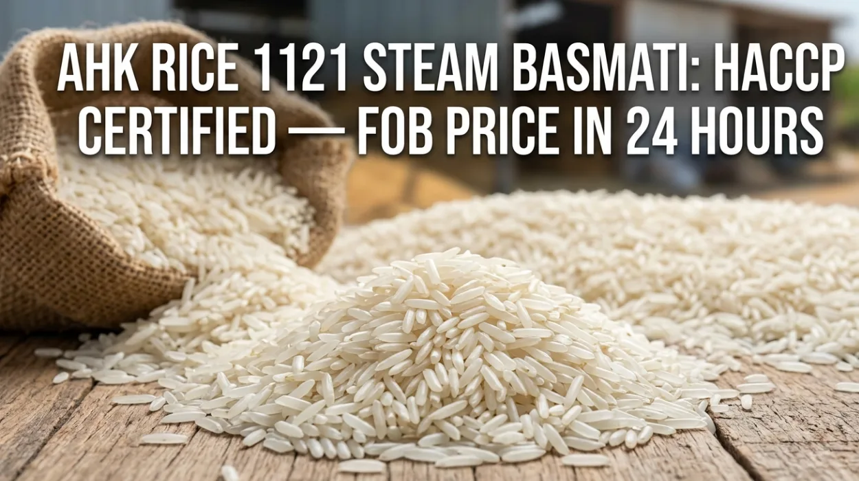 AHK Rice 1121 Steam Basmati: HACCP Certified — FOB Price in 24 Hours