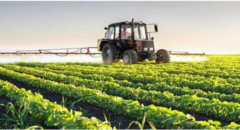 BRICS Agricultural Agenda: A New Era for Pakistan Rice Exports