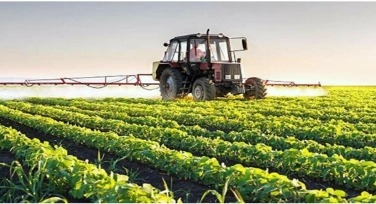 BRICS Agricultural Agenda: A New Era for Pakistan Rice Exports