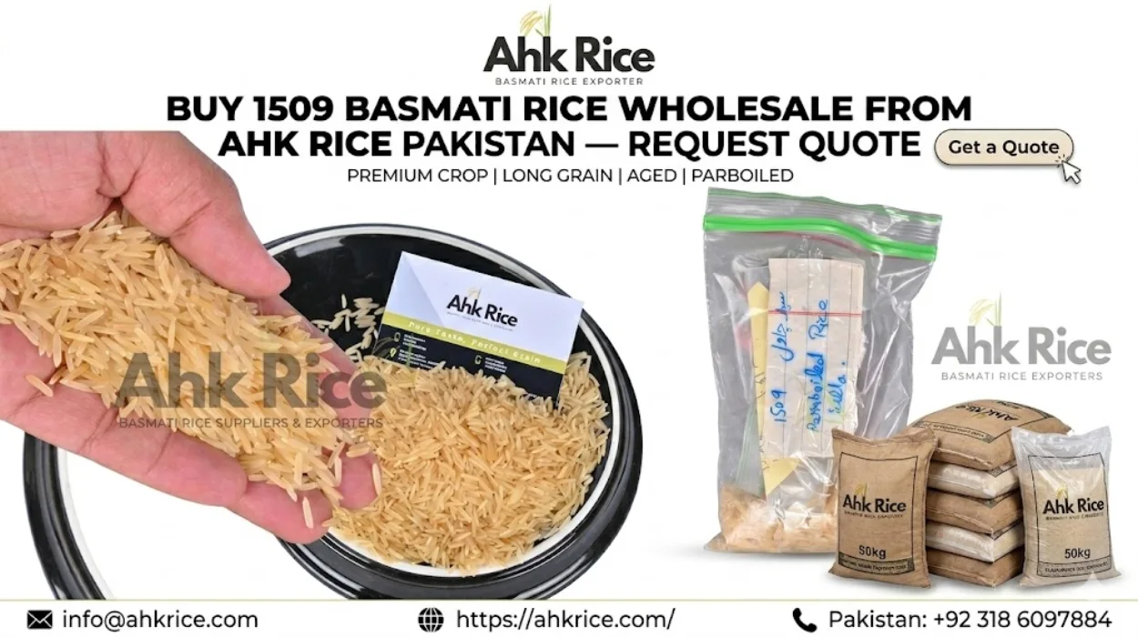 Buy 1509 Basmati Rice Wholesale from AHK Rice Pakistan — Request Quote