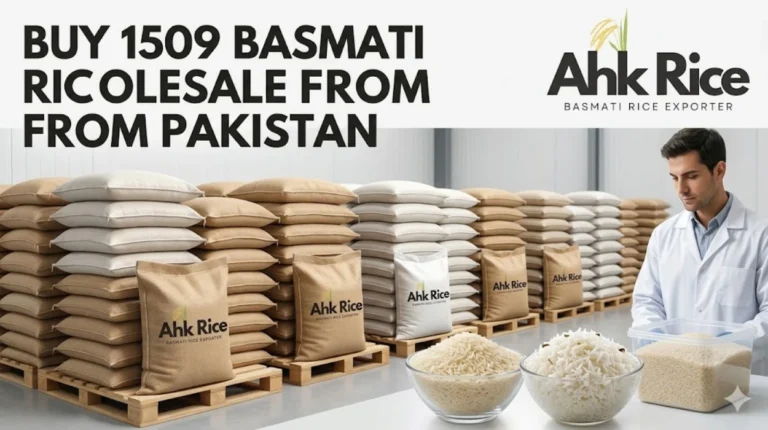 Buy 1509 Basmati Rice Wholesale from Pakistan