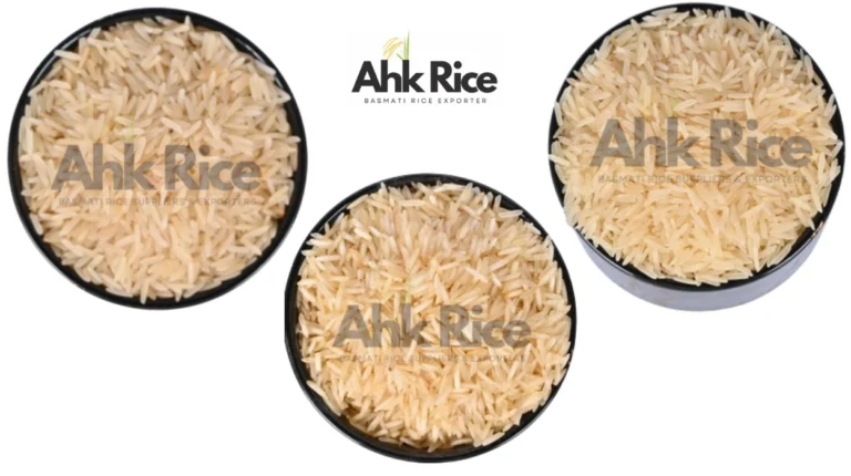 Golden Sella vs Creamy Sella vs Steam 1121 Basmati