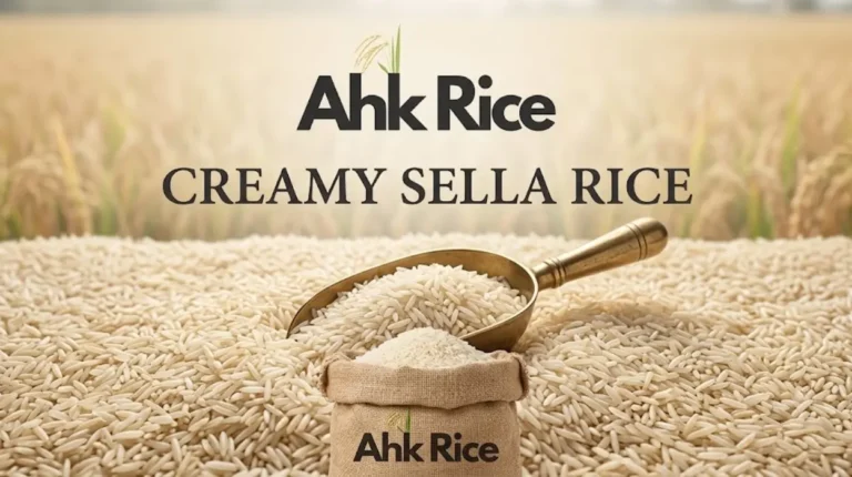 Order 1509 Creamy Sella Rice with Supply Guarantees Today
