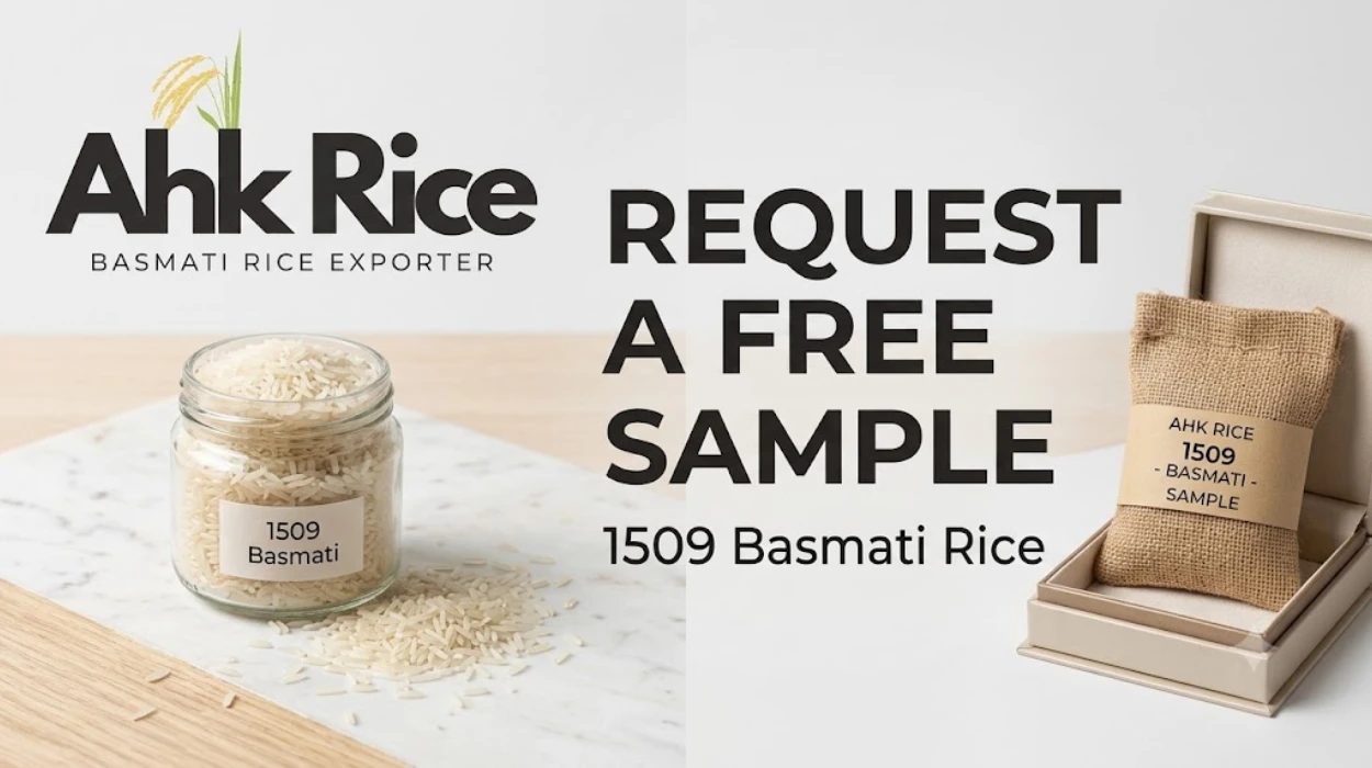 Request a Free Sample of 1509 Basmati Rice