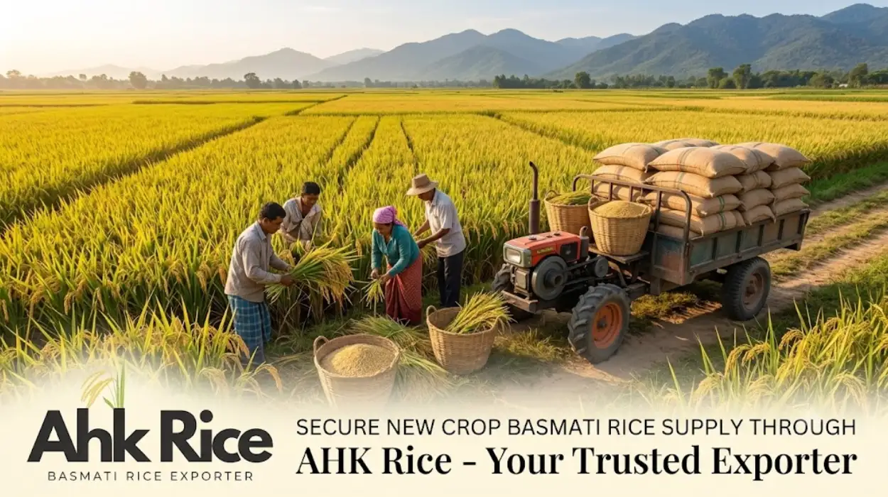 Secure New Crop Basmati Rice Supply Through AHK Rice