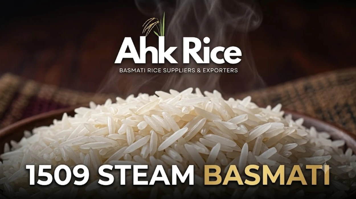 Source 1509 Steam Basmati Rice from Pakistan for USA Importers