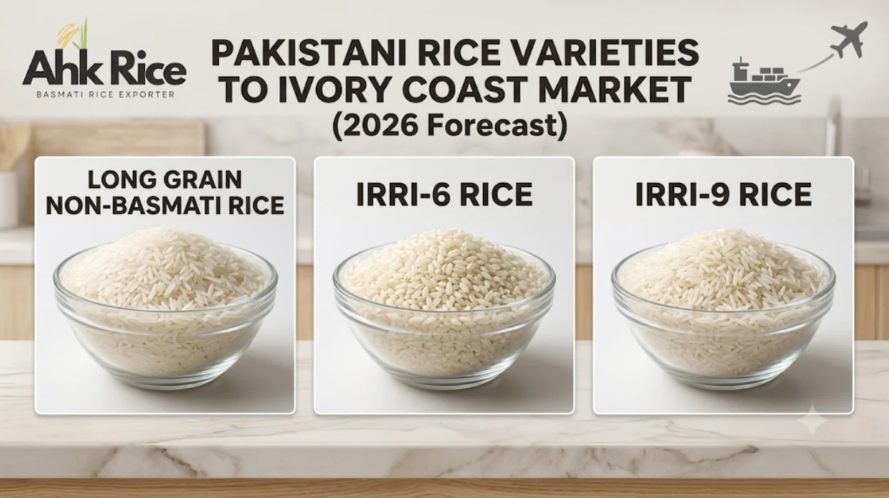 Which Rice Varieties Pakistani Exporters Ship to Ivory Coast in 2026