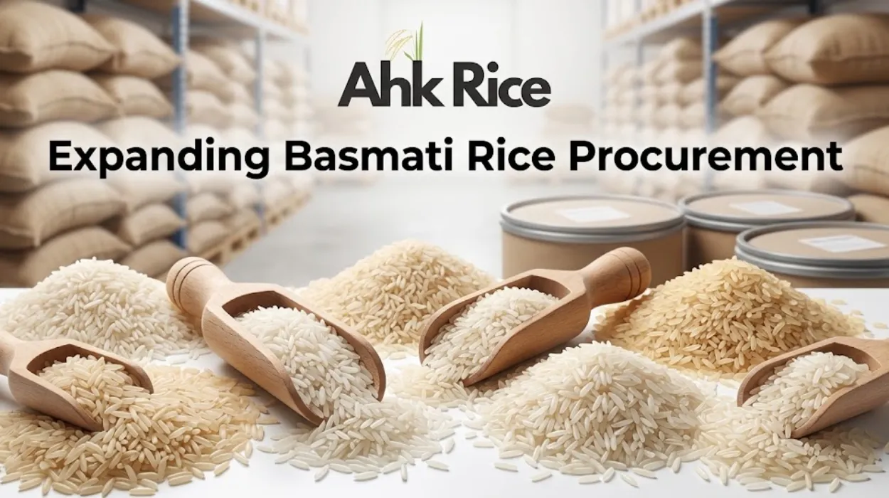 Why Are Wholesale Buyers Expanding Basmati Rice Procurement Programs?