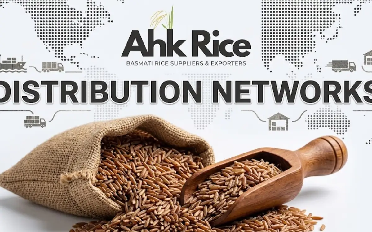 Why Do Distribution Networks Matter in Rice Import Operations?