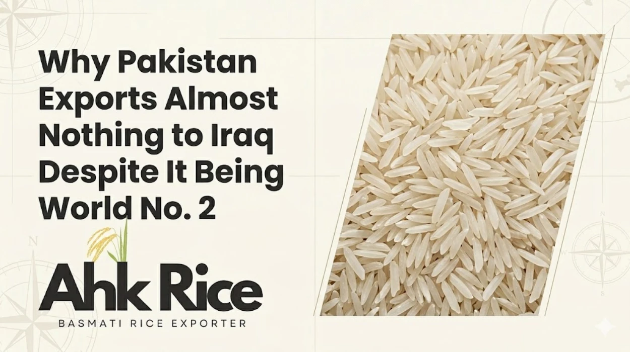 Why Pakistan Exports Almost Nothing to Iraq Despite It Being World No. 2